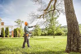 Painesville, OH Tree Services Company